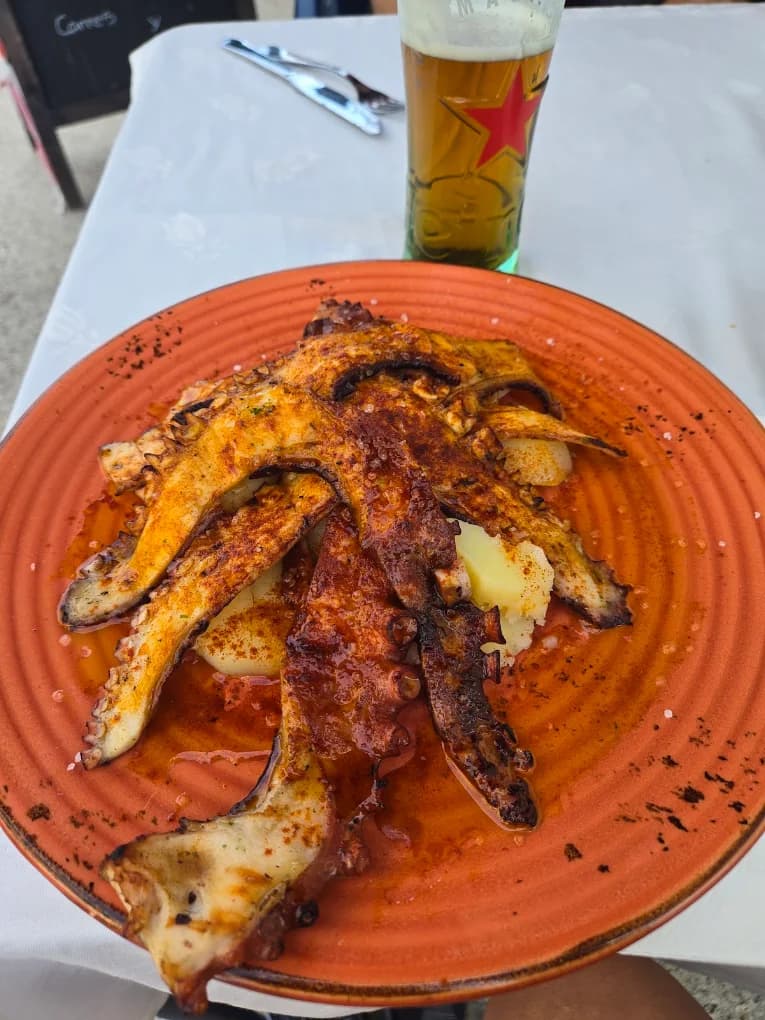 Pulpo